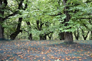 Une campagne contrastée au Nord du département