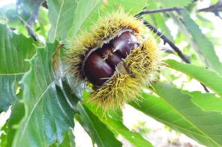 Dans les instances professionnelles, un vent de renouveau et un air de continuité