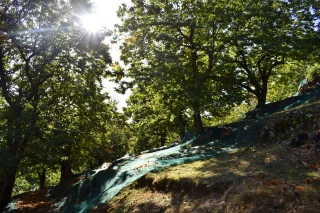 Les producteurs autour de la table pour discuter changement climatique 