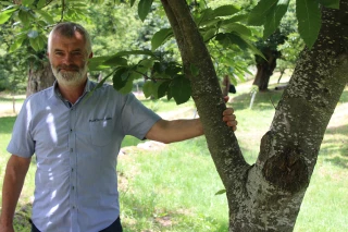 Michel Grange, élu président du syndicat national des producteurs de châtaignes