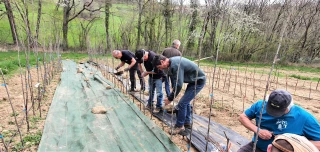 Pas de répit pour la pépinière ! 