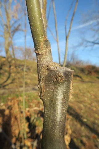 Une offre de formation étendue à de nouvelles thématiques !