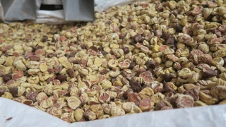 L’art de la transformation avec la Sarl Petite Châtaigne