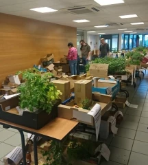 De nouveaux modèles de circuits courts pour contourner le confinement