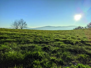 Un mois de janvier aux conditions météorologiques atypiques