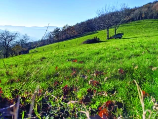 Soleil et douceur en février