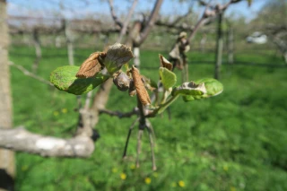 Vigilance et recommandations