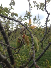 L’aide de trésorerie exceptionnelle est ouverte depuis le 1er juin ! 