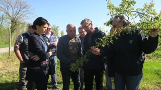 Réformer les assurances pour « conserver notre capacité à produire »