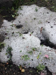 Déclaration de pertes de récoltes à la suite d’un aléa climatique