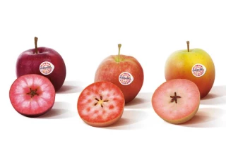 Qui seront les lauréats des Sitevi Innovation Awards 2021 ?