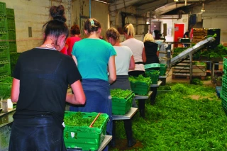  « Nous souhaitons que cette revalorisation des retraites agricoles à 85 % du Smic aboutisse »