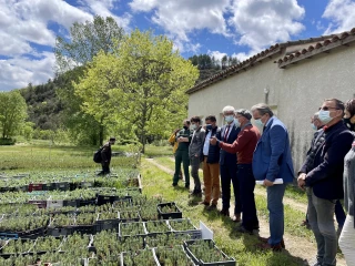 Le préfet en visite dans une exploitation lauréate