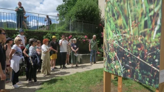 « Les yeux de la tourbière » : « un monde à l’envers »