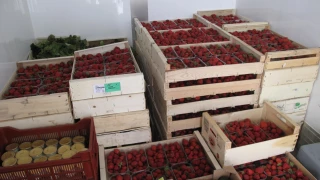 D'Ardèche & de Saison maintient le lien entre les producteurs et les consommateurs