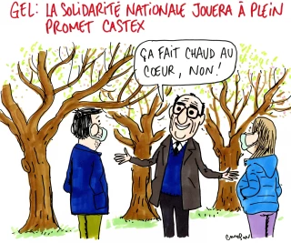 Gel : un milliard d’euros pour les agriculteurs