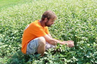 Des démonstrations de fauchage andainage 