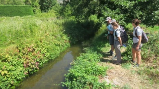 Sur le terrain, les agents de l'OFB à pied d'œuvre