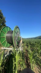 Restriction des usages :  « chaque année, cela devient de plus en plus compliqué »