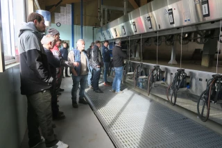 Race montbéliarde : des résultats équilibrés 