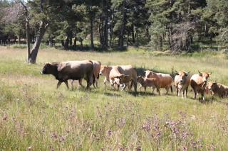 L'agenda de la semaine
