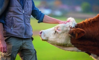 Les nouveautés de 2022 pour l’agriculture