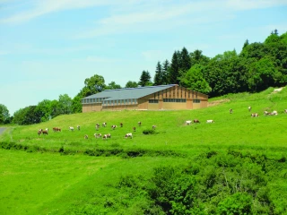 Bâtiments d’élevage : le bois a la cote !
