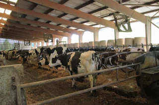 Bâtiments : règles d’hygiène et préparations avant les grosses chaleurs