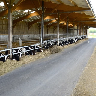 Revêtement des sols : des exigences de confort, d’hygiène et de sécurité 