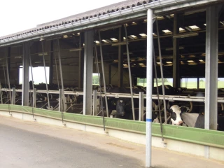 Un vent nouveau souffle sur la conception des bâtiments