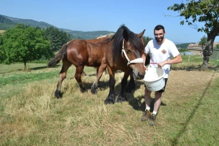 Valentin Gubien : éleveur en devenir