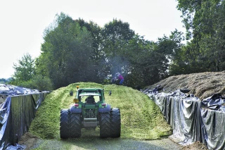 Une campagne d’ensilage avec de fortes disparités