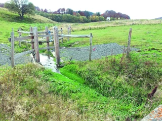 Droit-pas droit : l'abreuvement en cours d'eau