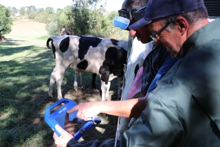 XR Repro : entre innovation et  performance