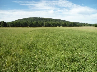 Les prairies de fauche face à la sécheresse