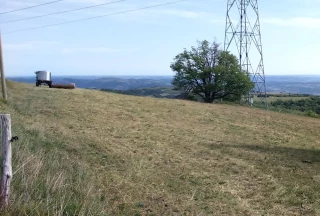 Une situation « très préoccupante »