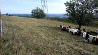 Pourquoi calcule-t-on les sommes de températures ?