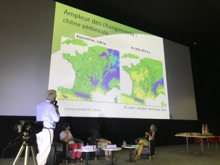 Le bois, un matériau taillé pour la construction