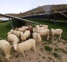 « Allier la production agricole à celle de l’électricité »
