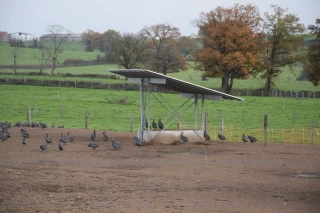 Des panneaux solaires en guise d’ombrières