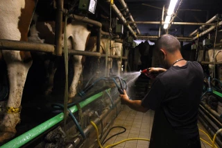 Des consommations d'énergies contrastées selon les systèmes