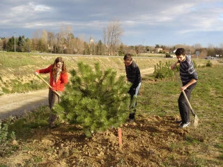 Enseignement agricole : les élèves retrouvent les bancs de l’école