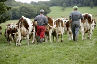 Le difficile chemin de la réussite de la décarbonation