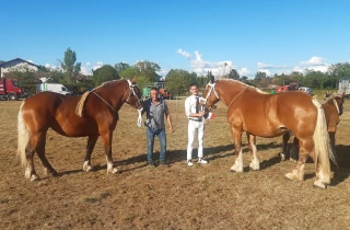 Des Ardéchois récompensés au régional Comtois