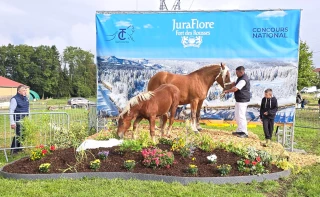 L'Ardèche au rendez-vous du concours national Comtois