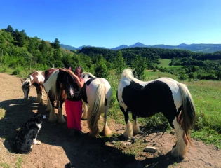 Le Cros de l’Oume : se reconstruire avec les chevaux
