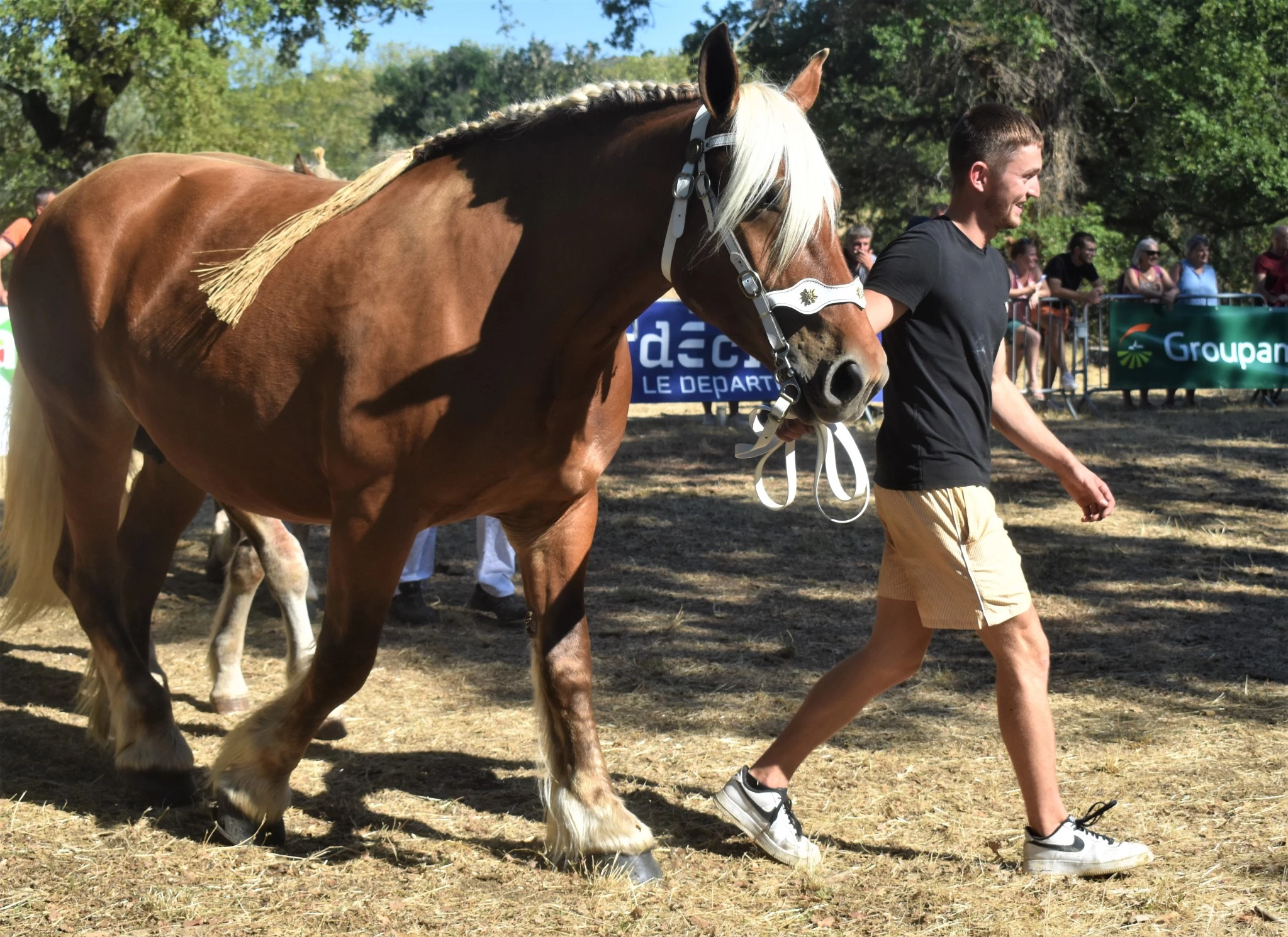 Heidi de la Palud, menée par Antoine Dumas, a remporté le prix de championnat