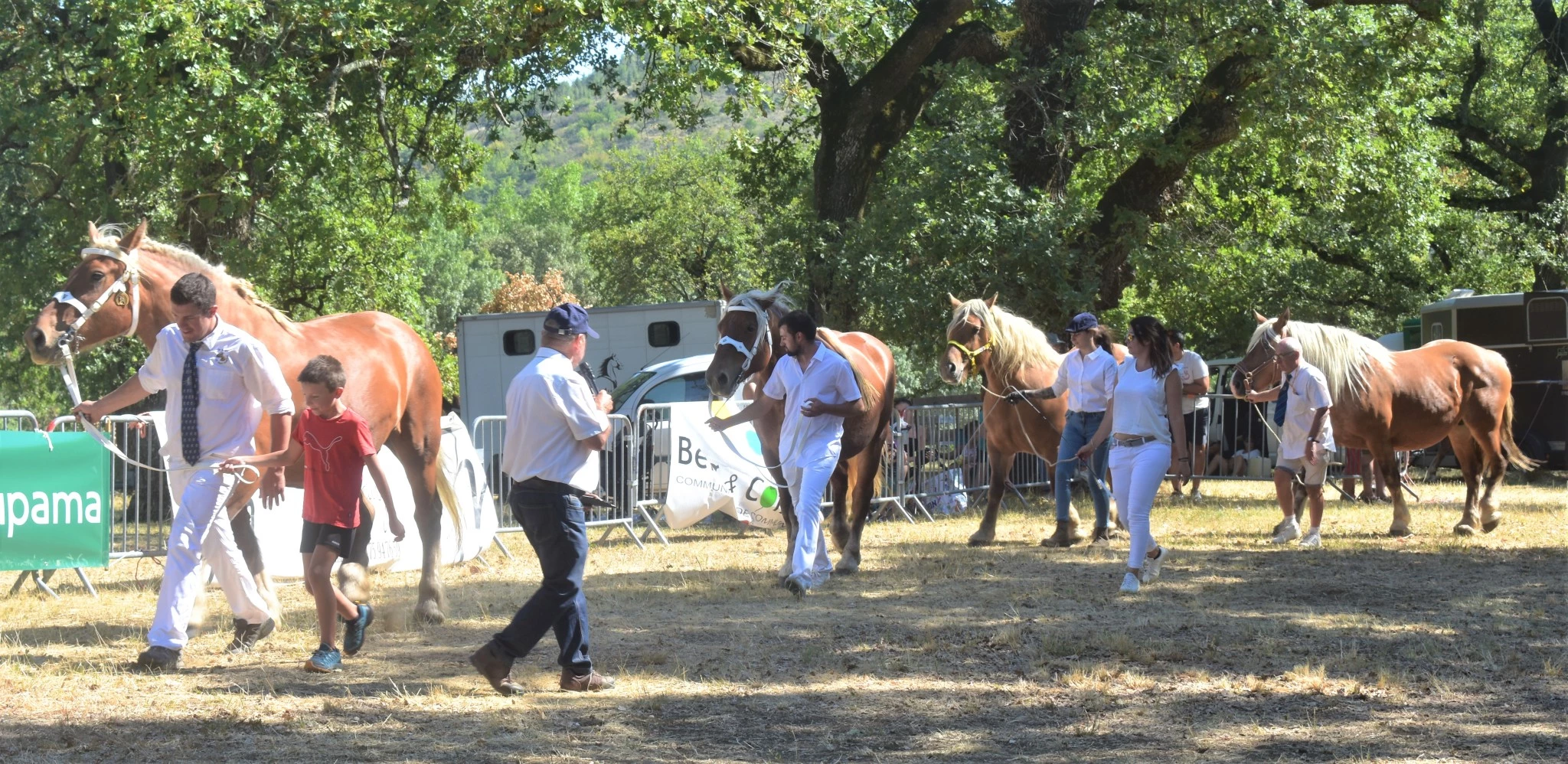 De très belles prestations ont été offertes lors du concours