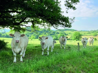 Sous tension financière, l'expérimentation agricole cherche à réinventer son modèle