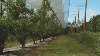 Dephy Expe 2 : la combinaison de leviers comme leitmotiv